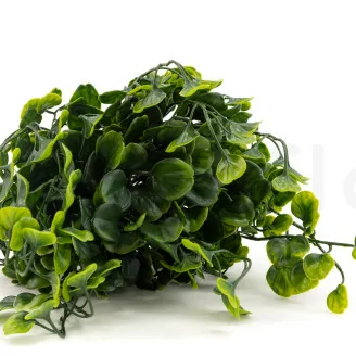 Dichondra artificielle