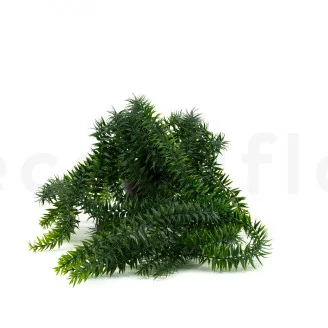 Artificial Potted Lycopodium