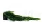 K&uuml;nstliches Lycopodium im Topf 3