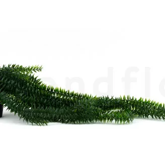 K&uuml;nstliches Lycopodium im Topf