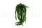 Lycopodium artificiel en pot 2