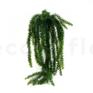 Vaso di Lycopodium artificiale