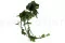 Artificial Hanging Philodendron Monstera 2