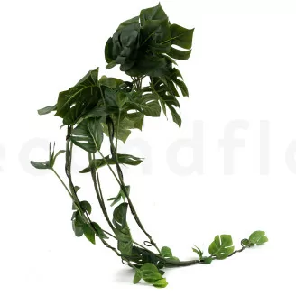 Philodendron Monstera artificiale Ricadente