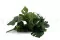 Philodendron Monstera artificiale Ricadente 4