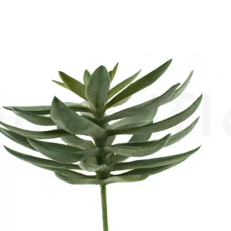 Succulenta Agave artificiale