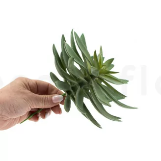 Succulenta Agave artificiale