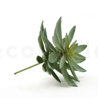 Succulenta Agave artificiale