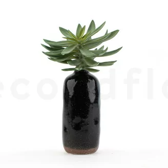 Suculenta Agave artificial