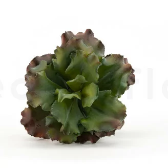 Pianta succulenta artificiale