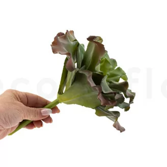 Pianta succulenta artificiale