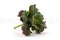 Pianta succulenta artificiale 5