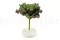 Pianta succulenta artificiale 8