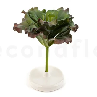 Pianta succulenta artificiale