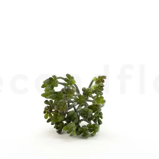 Crassula Ovata Artificiale