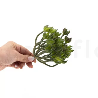 K&uuml;nstliche Crassula Ovata