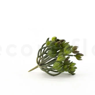 K&uuml;nstliche Crassula Ovata