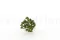 Crassula Ovata Artificiale 3