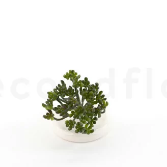 K&uuml;nstliche Crassula Ovata