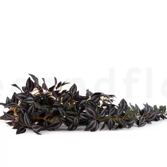 Artificial Hanging Tradescantia Green & Purple