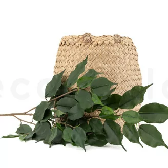 Ficus Exotica artificiale