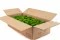 Preserved Ball Moss Light Green (Bulk Box) 3