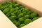 Mousse Boule Light Green stabilis&eacute;e (Carton) 4