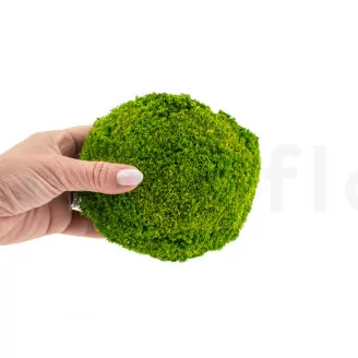 Mousse Boule Light Green stabilis&eacute;e (Carton)