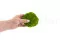Mousse Boule Light Green stabilis&eacute;e (Carton) 6