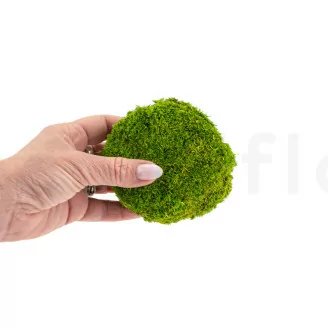 Muschio a Sfera stabilizzato Light Green (Cartone sfuso)