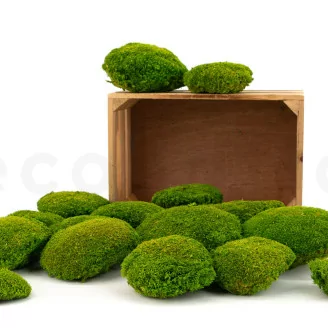 Mousse Boule Light Green stabilis&eacute;e (Carton)