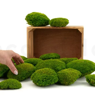 Mousse Boule Light Green stabilis&eacute;e (Carton)