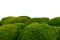 Mousse Boule Light Green stabilis&eacute;e (Carton) 1