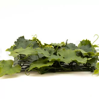 Plaque de Vigne artificielle