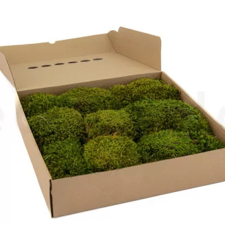 Hair Moss stabilis&eacute;e (Bo&icirc;te)
