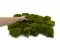 Hair Moss stabilizzato (Scatola) 4