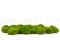 Mini Muschio a sfera stabilizzato Light Green (Scatola) 8