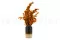 Preserved Stuartiana Eucalyptus Orange 3