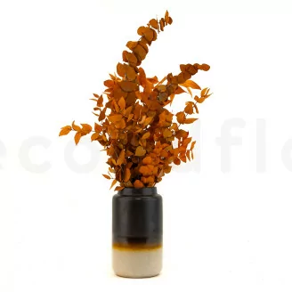 Konservierter Stuartiana-Eukalyptus Orange