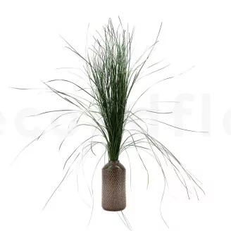 Bear Grass stabilis&eacute; Long