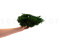 Juniperus Stabilisiert - Grün 13