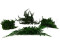 Juniperus Stabilisiert - Grün 20