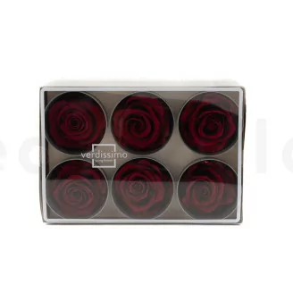 Konservierte Rose L Dunkelrot (x6)