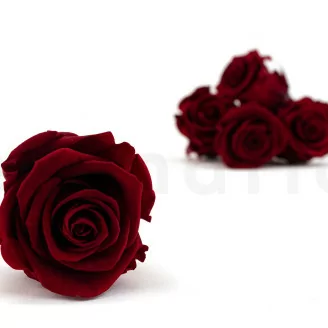 Konservierte Rose L Dunkelrot (x6)