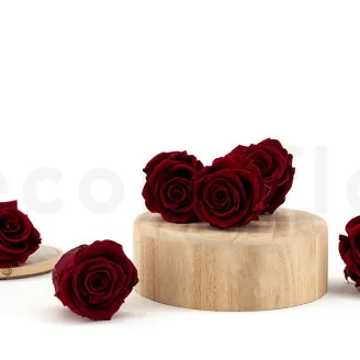 Rosa stabilizzata L Rosso Scuro (x6)