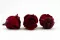Rose stabilis&eacute;e L Rouge fonc&eacute; (x6) 4