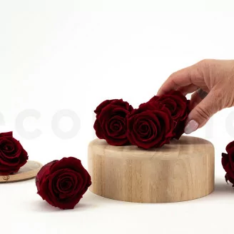 Konservierte Rose L Dunkelrot (x6)