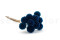 Scabiosa stellata preservada - 10 tallos - Azul 6