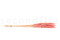 Mini-pampa getrocknet - 20 Stück - Pink Flamingo 5