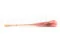 Getrocknete Mini-Pampa Pink Flamingo (x20) 10
